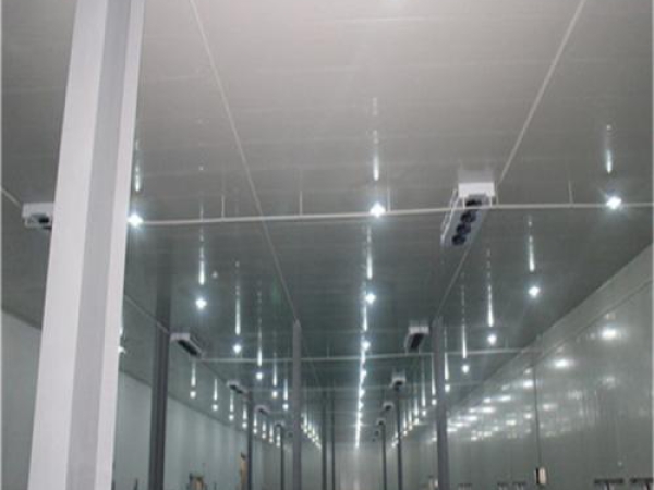 建造安裝食品低溫冷藏庫(kù)有哪些因素影響造價(jià)？